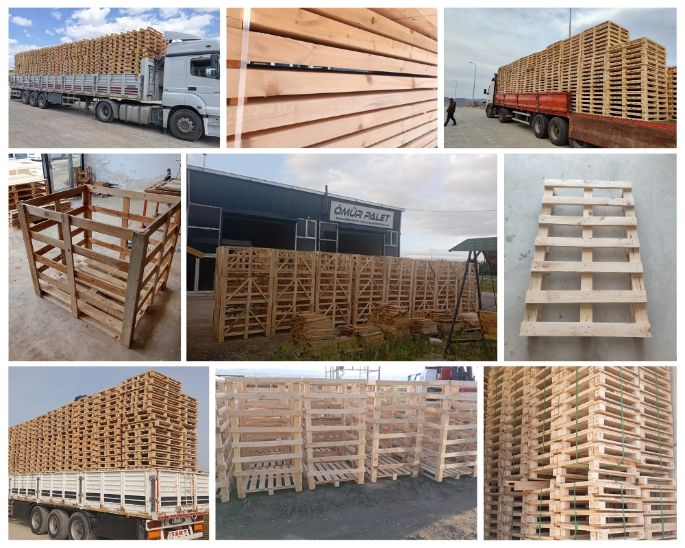 Forest Houten Kisten, Europallets Groothandel Kopen